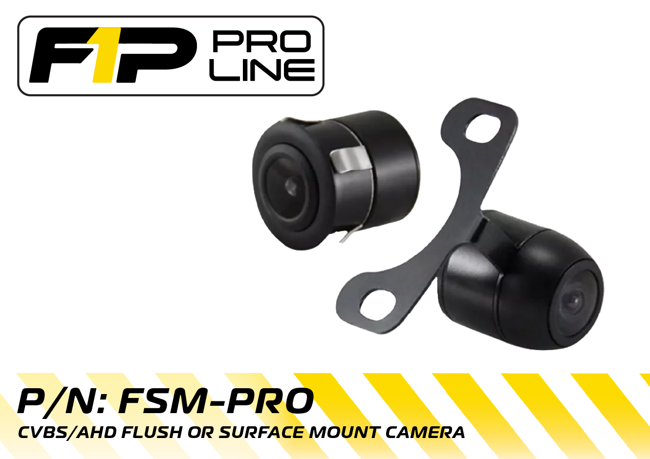 FSM-PRO
