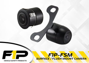 F1P-FSM