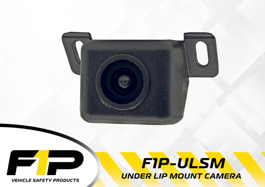 F1P-ULSM